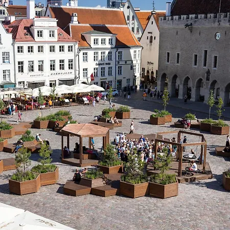 Dream - Main Square With Picturesque View *